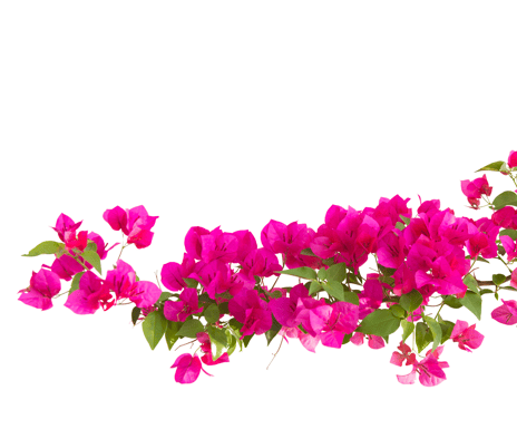 decoration