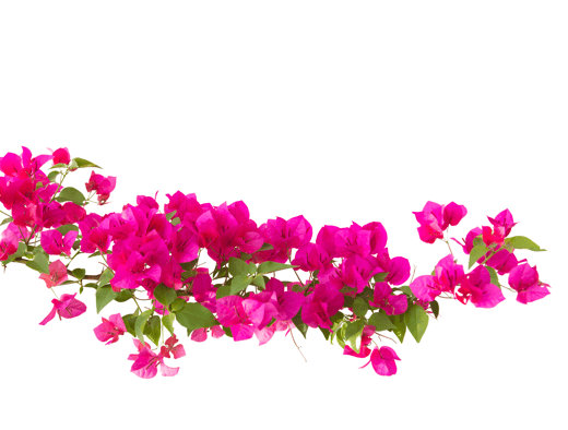 decoration